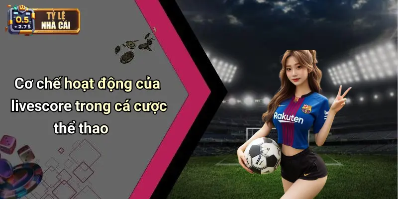 Cơ chế hoạt động của livescore trong cá cược thể thao