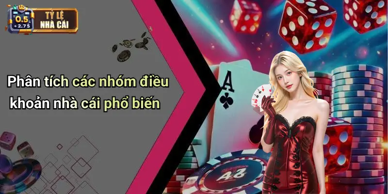 Phân tích các nhóm điều khoản nhà cái phổ biến