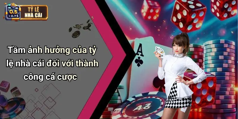 Tầm ảnh hưởng của tỷ lệ nhà cái đối với thành công cá cược