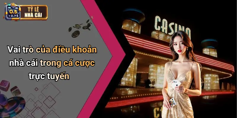 Vai trò của điều khoản nhà cái trong cá cược trực tuyến