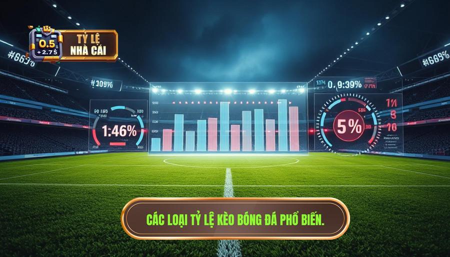 Các loại tỷ lệ phổ biến khi soi kèo bóng đá