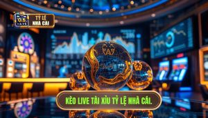 Kèo Live Tài Xỉu: Nghệ Thuật Đọc Trận Đấu Và Chiến Thuật Đánh Rung Đỉnh Cao